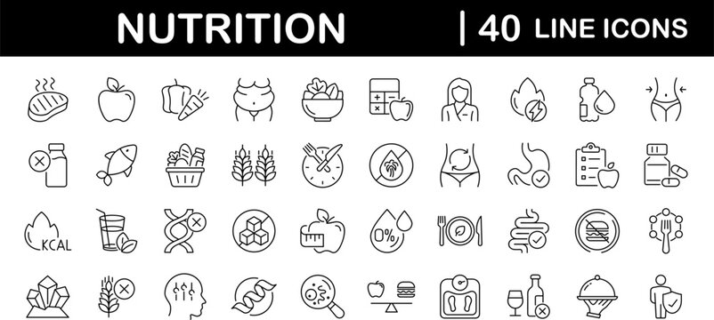 Nutrition set of web icons in line style. Healthy food linear icon collection. Containing food, vegetables, water, palm oil free, сaunt calories, zero trans fat, probiotics and more. Editable stroke