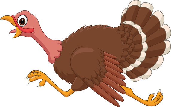 Illustration of cartoon turkey running