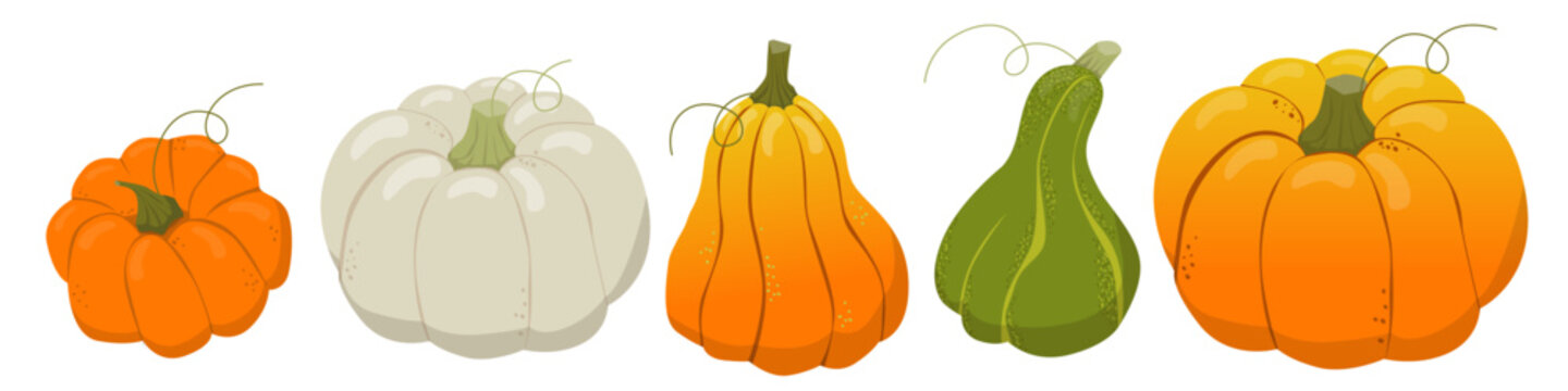 Autumn set of cute and cozy pumpkins - design elements. Simple set of drawn pumpkins. Fall, Thanksgiving, pumpkin season.