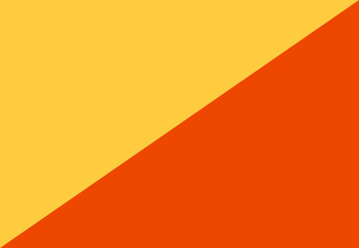 Bhutan flag illustrator country flags