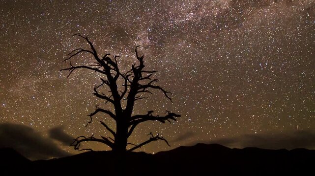 silhouette night sky footage time lapse