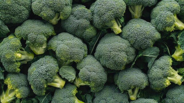 A high-angle shot of a large pile of fresh green broccoli, creating a vibrant broccoli background, perfect for healthy food or vegetable concepts