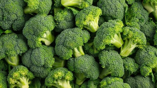 A high-angle shot of a large pile of fresh green broccoli, creating a vibrant broccoli background, perfect for healthy food or vegetable concepts