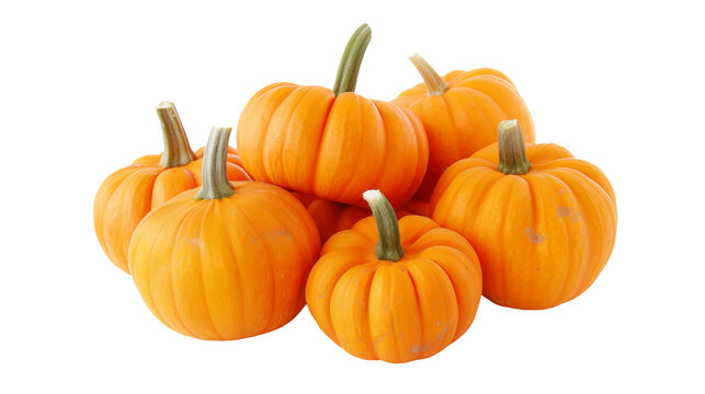 Pumpkin Patch, Group of pumpkins isolated