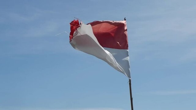 the Indonesian flag flutters in the wind