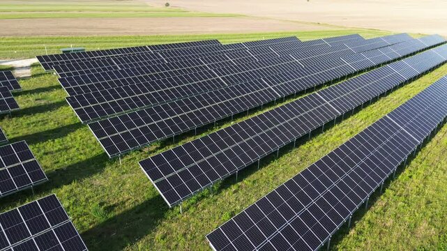 Field of solar panels generating sustainable energy under sun