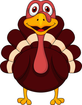 Cute turkey cartoon