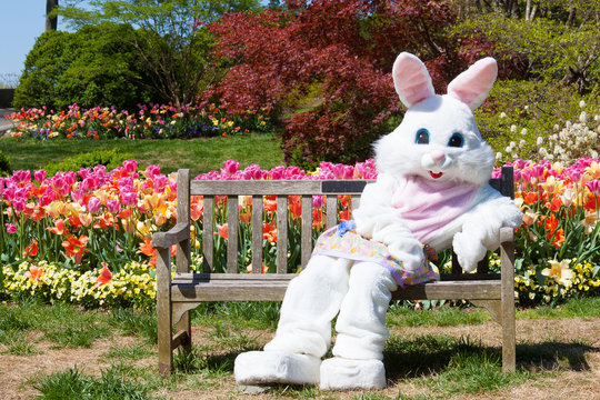 Easter bunny on bench and tulips