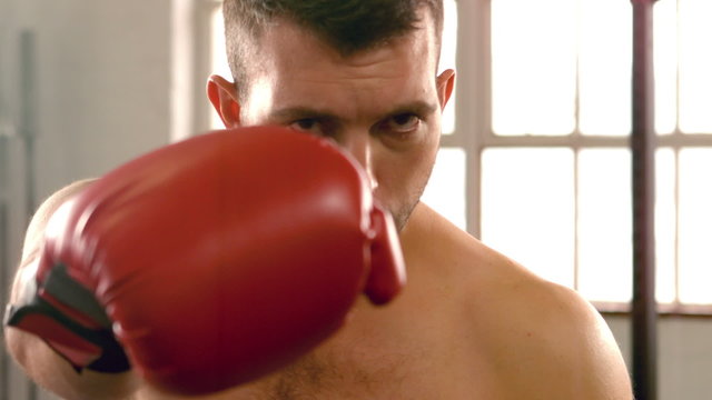 Fit man boxing at camera in gym