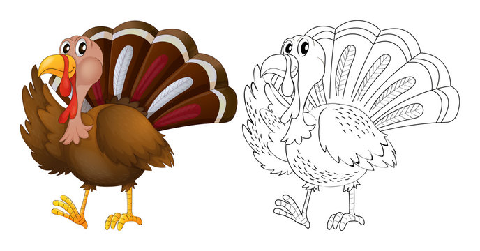 Animal outline for wild turkey