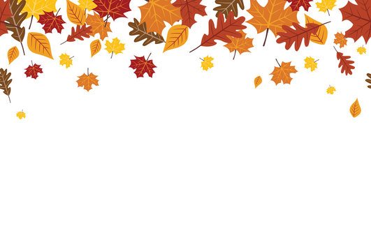 Seamless Bright Fall Autumn Leaves Border 1