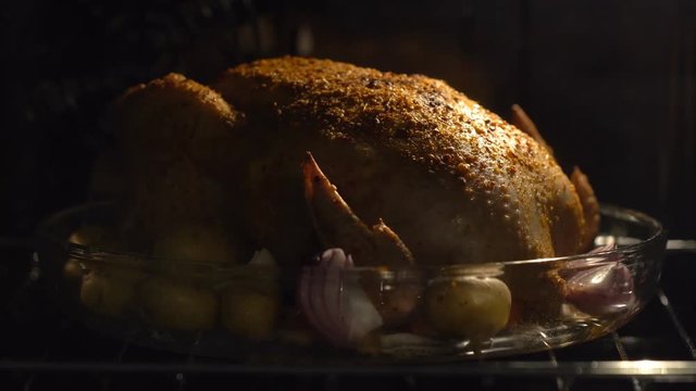 Cooking turkey on thanksgiving day celebration