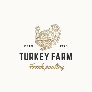 Turkey Farm Fresh Poultry Abstract Vector Sign, Symbol or Logo Template. Hand Drawn Engraving Turkey Sillhouette Sketch with Retro Typography. Vintage Emblem.