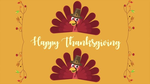 Thanksgiving background with turkey footage collection