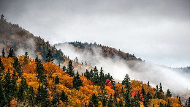 Magnificent colorful Fall day in Jacques Cartier river park, Quebec, Canada