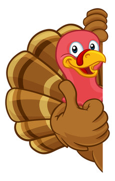 Turkey Thanksgiving or Christmas bird animal cartoon character peeking around a background sign giving a thumbs up