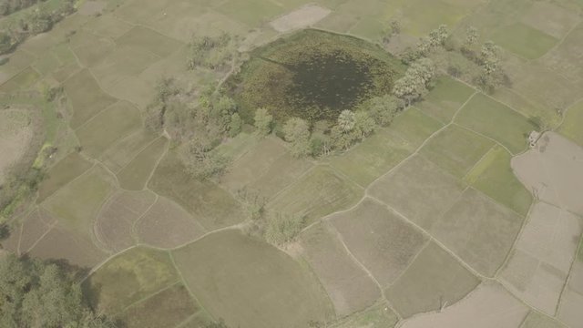 India agricultural fields, 4k aerial ungraded/flat