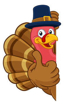 Pilgrim Turkey Thanksgiving bird animal cartoon character wearing a pilgrims hat. Peeking around a background sign and giving a thumbs up