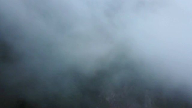 Foggy, rainy and green pine forest of mountain looking dramatic nature