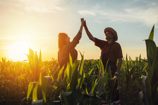 Happy family in corn field. Family standing in corn field an looking at sun rise