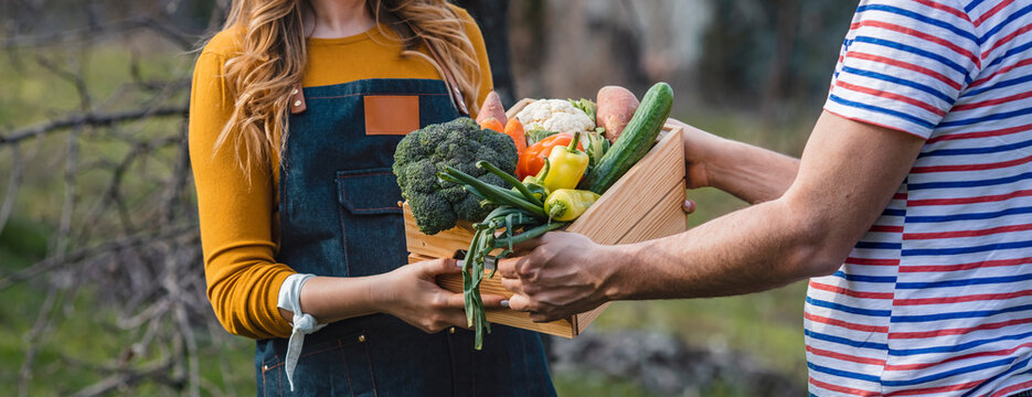 Owner Fresh Grocery Organic Shop Food. Fresh vegetables being sold at farmers market. Homegrown bio produce concept. Sustainable living. Organic local farmer giving veggies to shopper