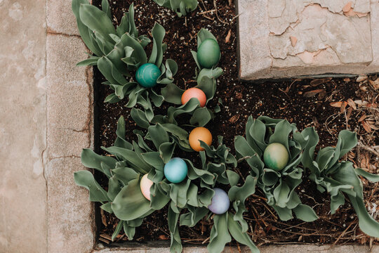 Easter Eggs Hidden in Garden