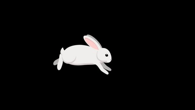 The white rabbit jumps . Animation with an alpha channel .