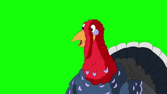 The turkey suddenly jumps out, screams and hides back chroma key