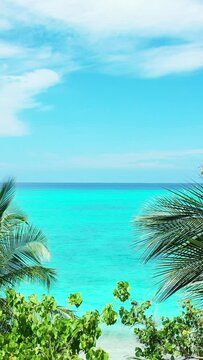 Vertical aerial footage of a blue seascape and tropical vegetation in summer in sunlight