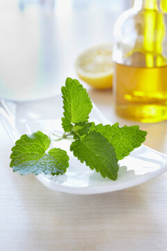 Lemon balm with bottles of aromatic oil for aromatherapy