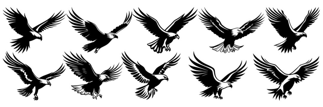 Eagle silhouettes set, large pack of vector silhouette design, isolated white background