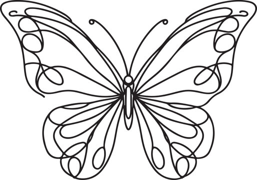 Black and white butterfly vector