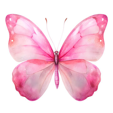 watercolor butterfly clipart