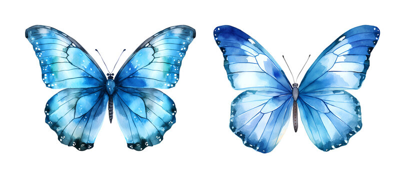 Butterfly, watercolor clipart illustration with isolated background.