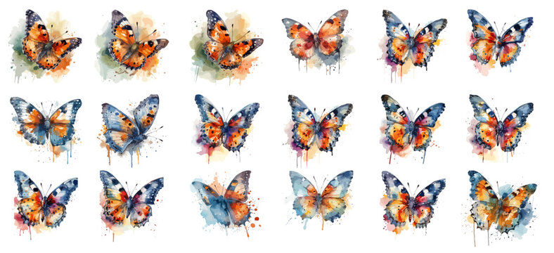 watercolor butterfly clipart for graphic resources, white backdrop, Vector Illustration.