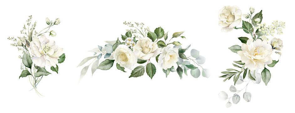 White flowers and green eucalyptus leaves watercolor illustration isolated on transparent background. Creamy roses bouquets, wedding florals