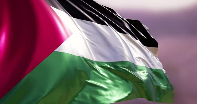 20 second cinematic animation of the Palestine flag with alpha matte.