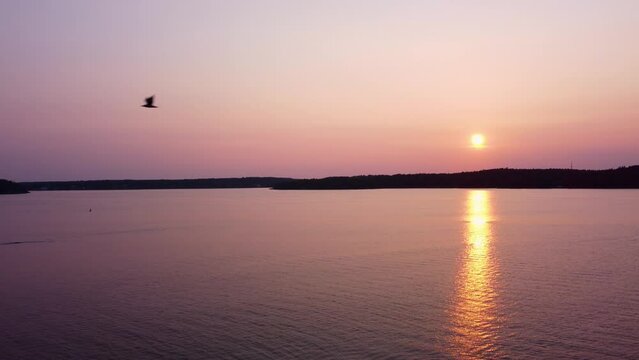 Sunset in Stockholm Archipelago with golden reflections on water and bird flying