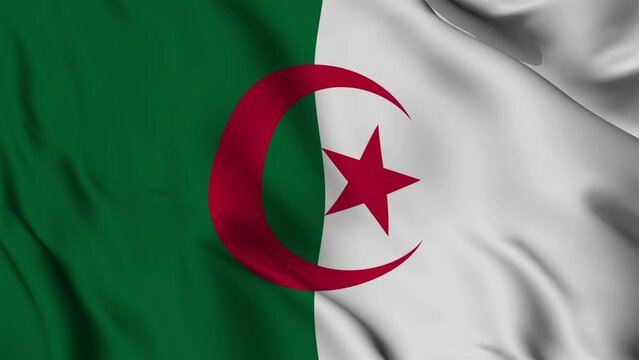 Algeria Flag Waving Animation seamless loop. 4k