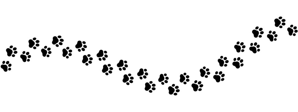 Paw print of a dog or cat. Footprint pet. Black lines animal prints isolated on white background. Tiger paws. Cute canine pattern. Puppy track. Feline step outline. Kitten leg. Vector illustration