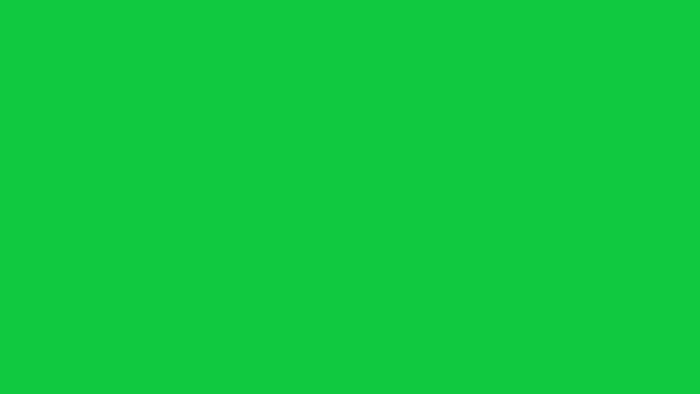 Round green and white pakistan flag icon sign symbol isolated on green screen background animation video.