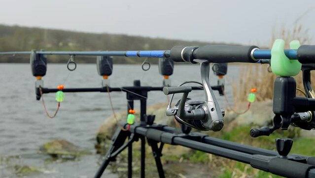 Close up carp fishing rod setup with multiple rods on a stand with alarms set lines near lakeside in early overcast morning. Hobby leisure, angling equipment gear. Fishing reels tackle holders