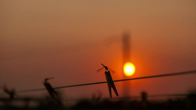 closeup footage of a sundown beyond the barbed wire