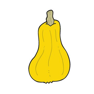 cartoon squash