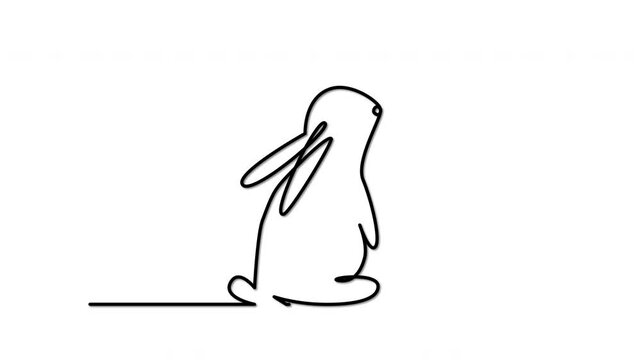 Rabbit, easter symbol, self drawing animation.

