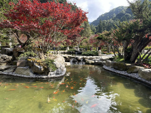 花卉中心的日月池美景最是吸引遊客前往欣賞。（記者扶小萍攝）