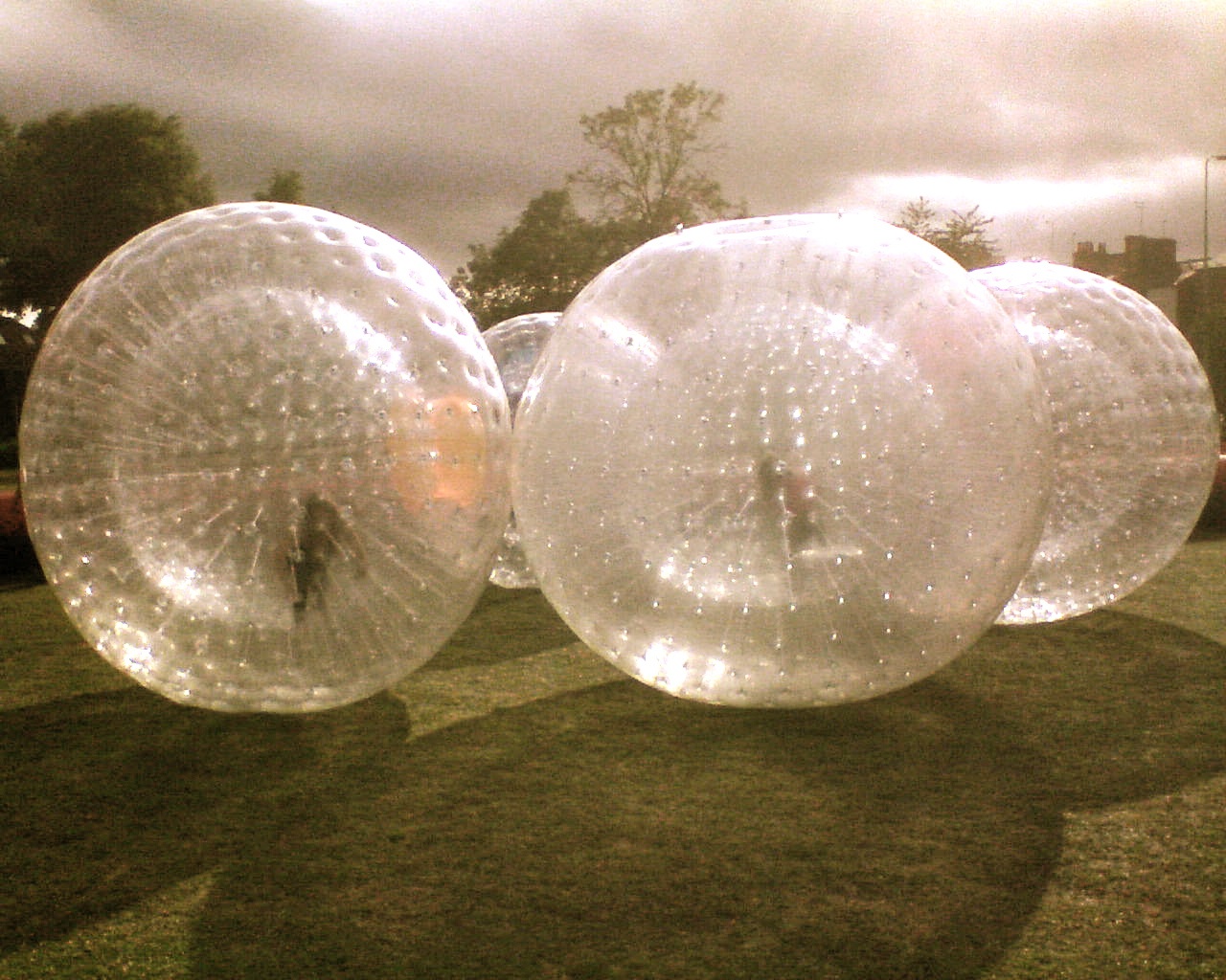 zorb