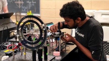 This looping aquatic treadmill lets tiny ocean creatures swim forever under the microscope