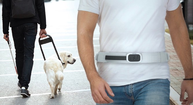 A guide dog is looking at a user wearing the Guidi prototype.