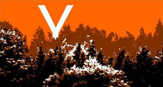 Y Combinator logo in a forest